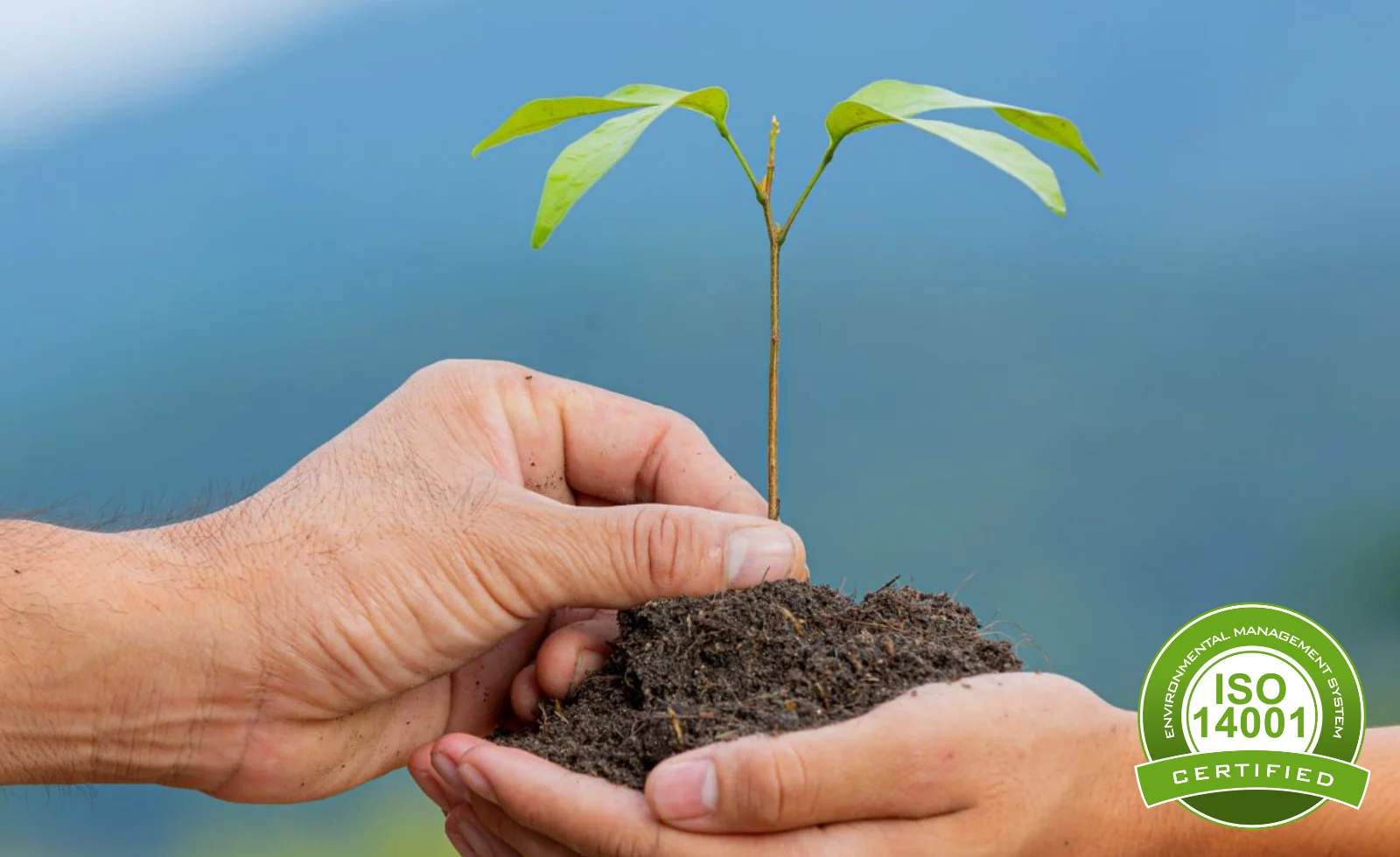 What Is ISO 14001? A Complete Guide to Environmental Management Systems (EMS)